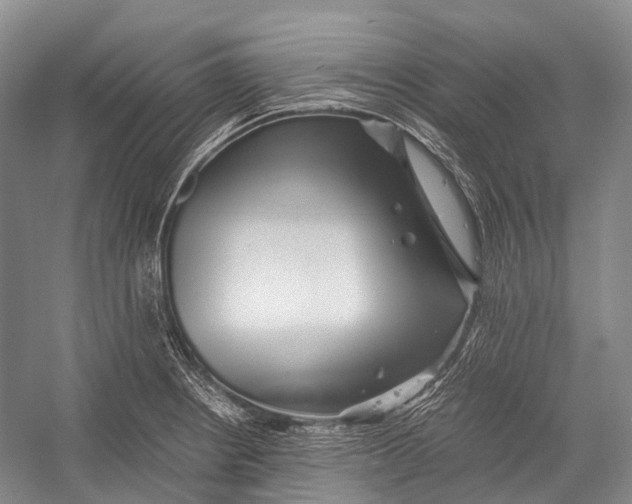 X0000052921234200508050755