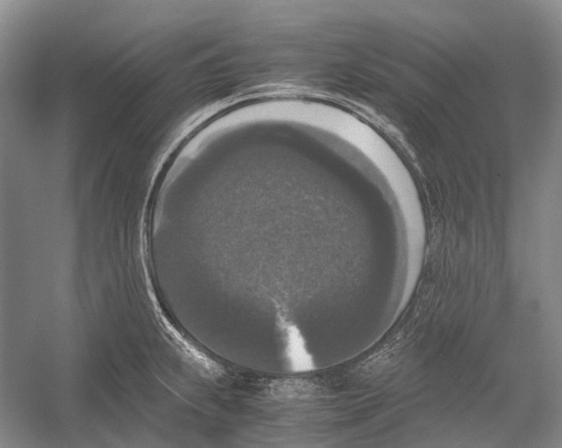 X0000052921239200508050755