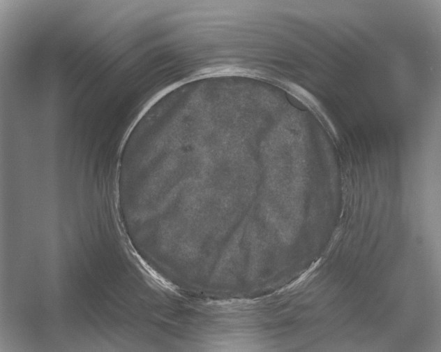 X0000052921244200508050755