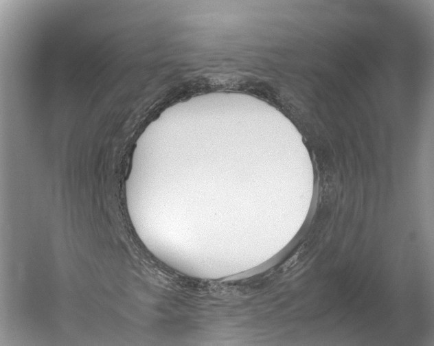 X0000052921249200508050754