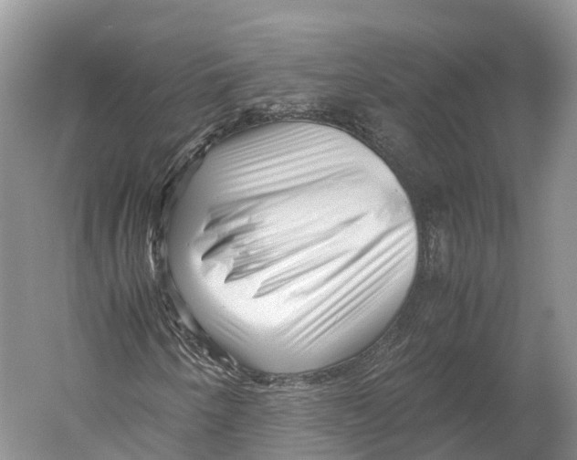 X0000052921250200508050754