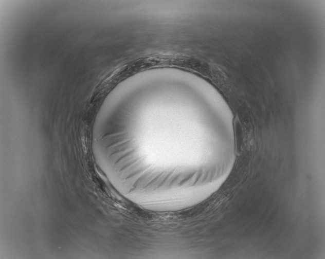 X0000052921253200508050754