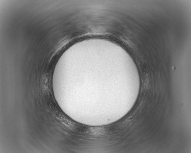 X0000052921258200508050754