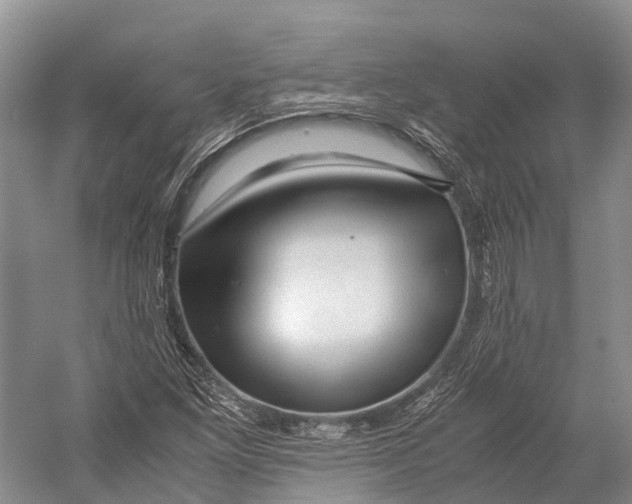 X0000052921261200508050754