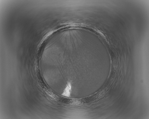 X0000052921263200508050754