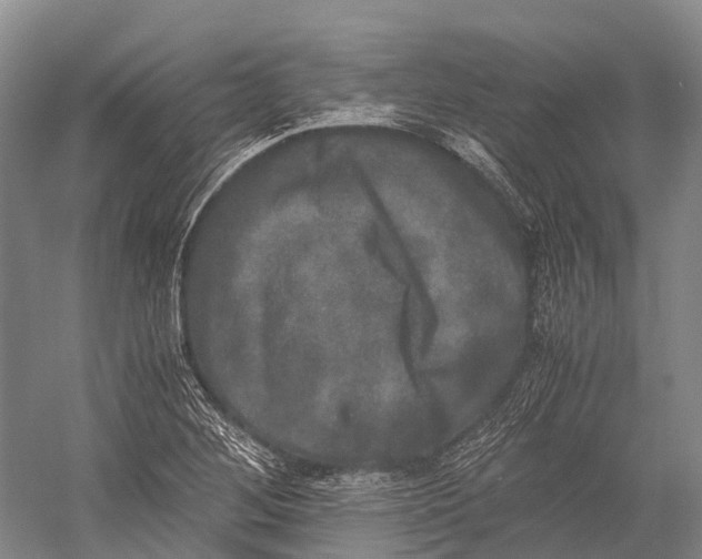 X0000052921268200508050754
