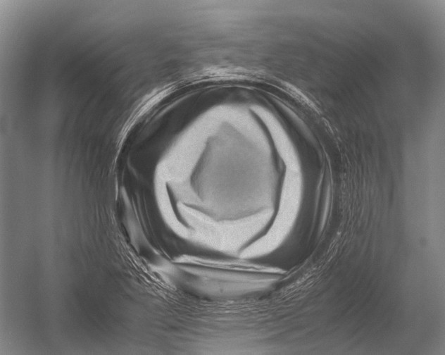 X0000052921269200508050754
