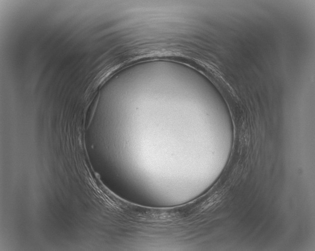 X0000052921273200508050754