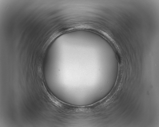 X0000052921281200508050754