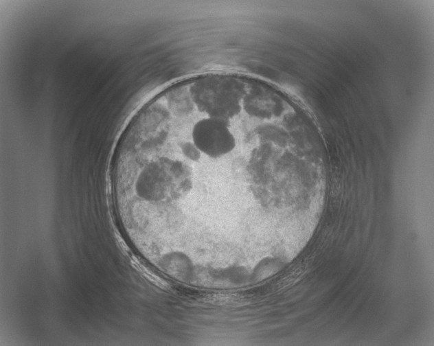 X0000052921287200508050753