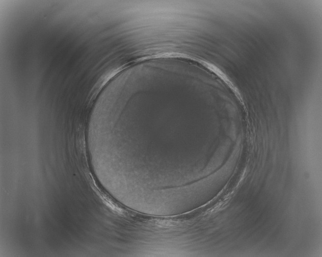 X0000052921289200508050753