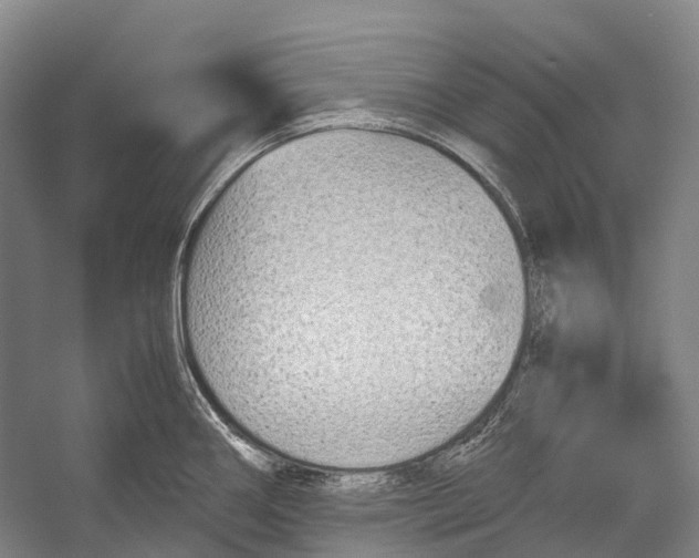 X0000052921290200508050753