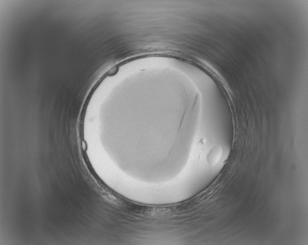 X0000052921291200508050753