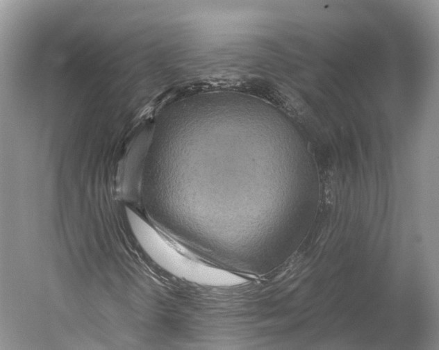 X0000052921298200508050753