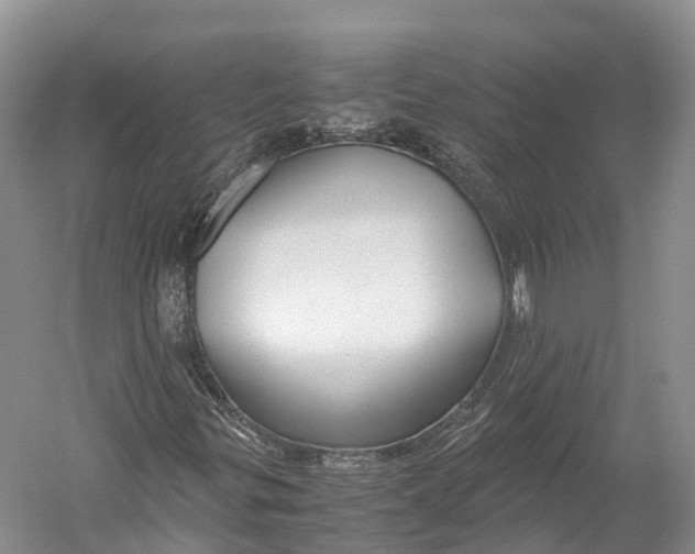 X0000052921299200508050753