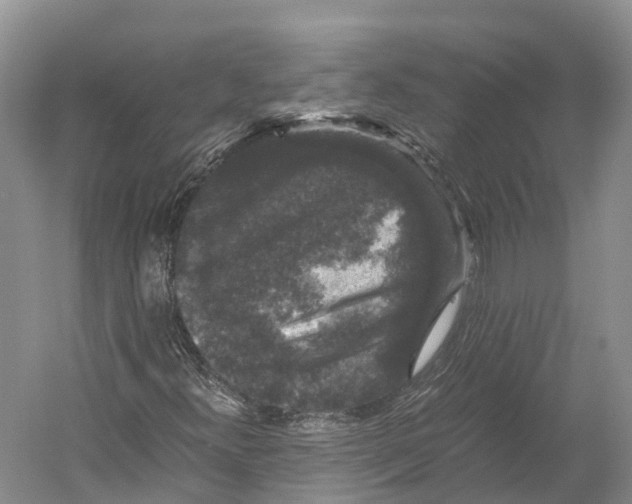 X0000052921300200508050753