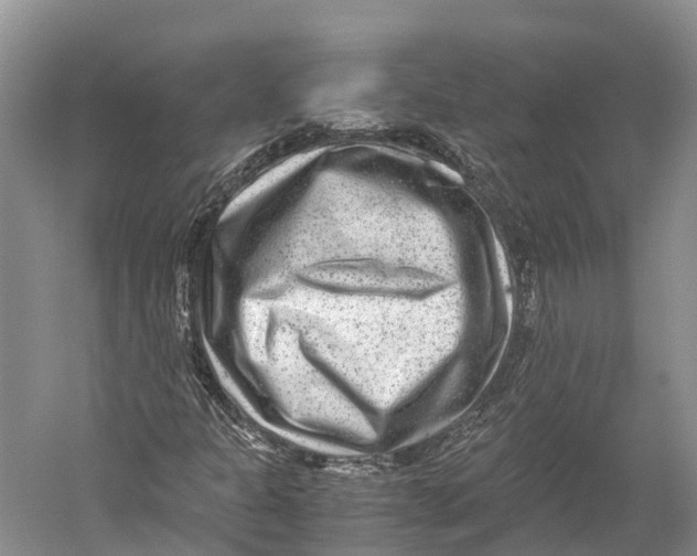 X0000052921301200508050753