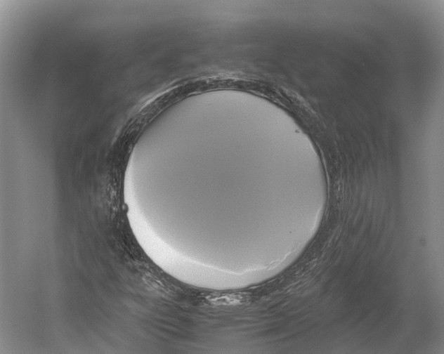 X0000052921303200508050753
