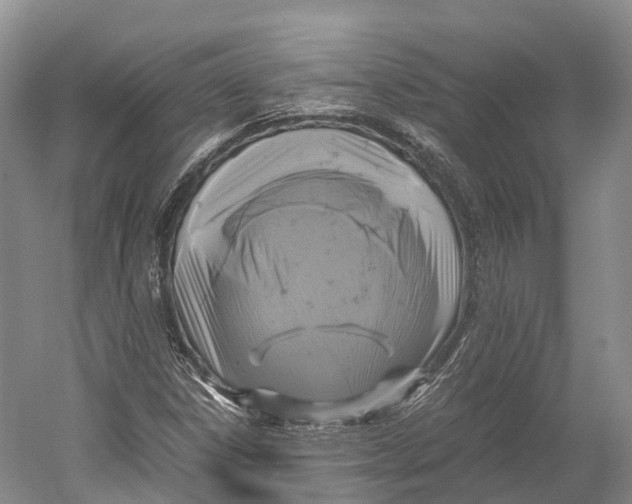 X0000052921306200508050753