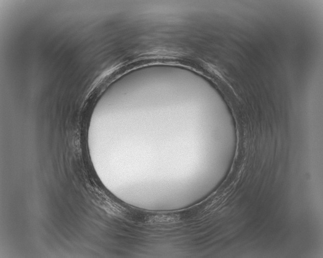 X0000052921307200508050753