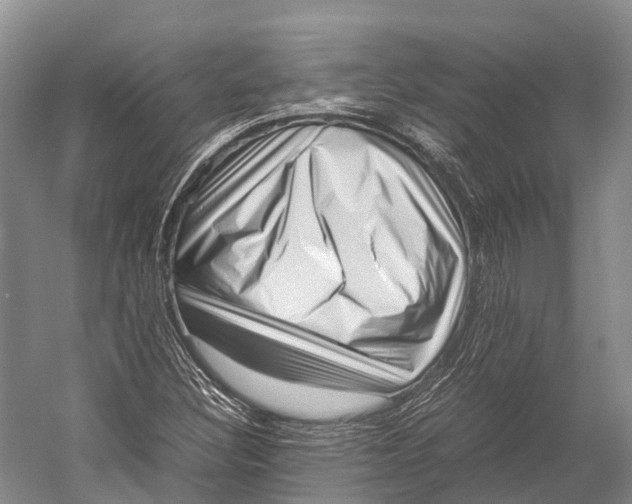 X0000052921308200508050753