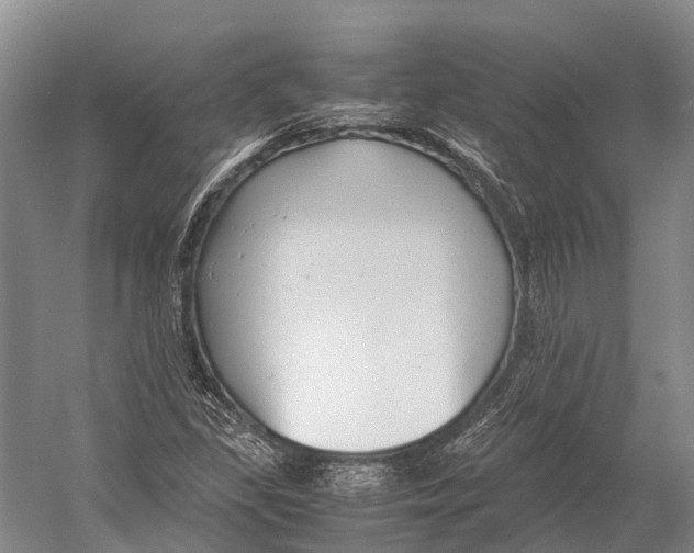 X0000052921309200508050753
