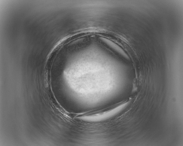 X0000052921310200508050753