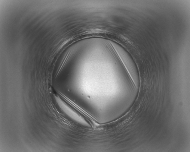 X0000052921313200508050753