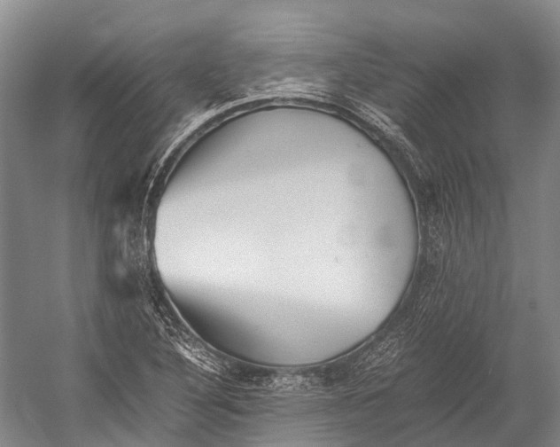 X0000052921316200508050753