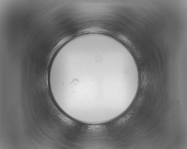 X0000052921322200508050753