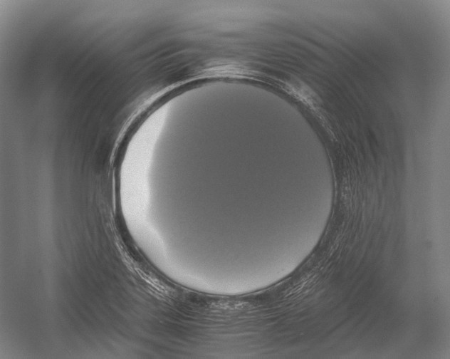 X0000052921323200508050753