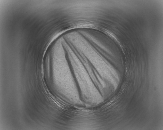 X0000052921324200508050753