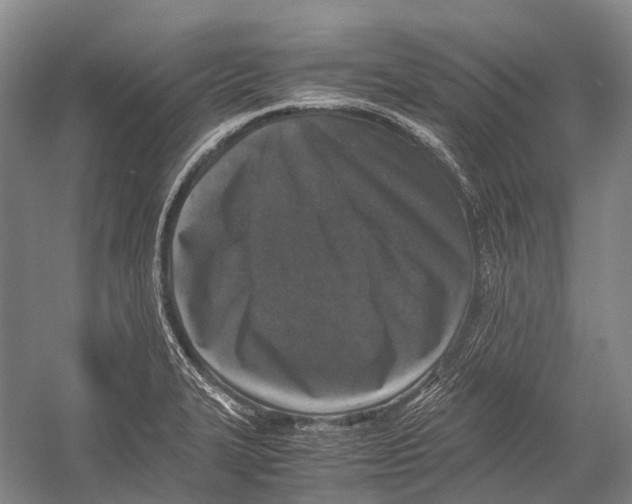 X0000052921327200508050753