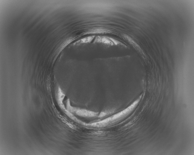 X0000052921329200508050753