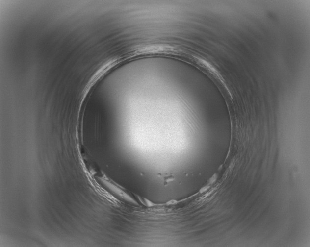 X0000052921330200508050753