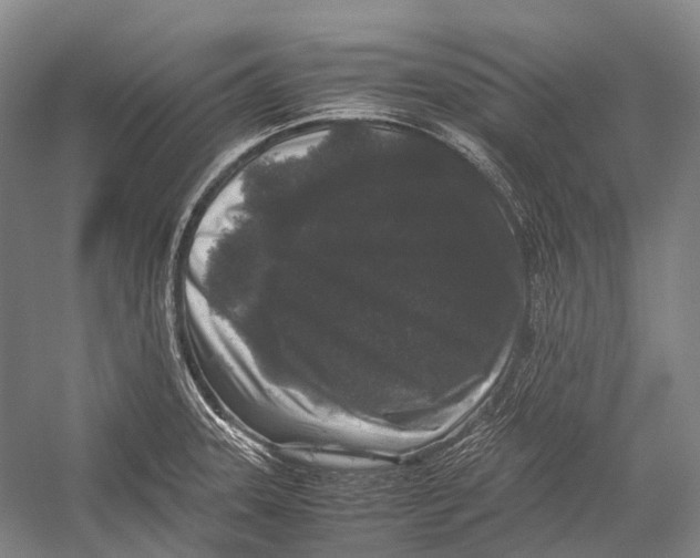 X0000052921331200508050753