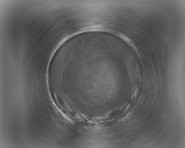 X0000052921334200508050753