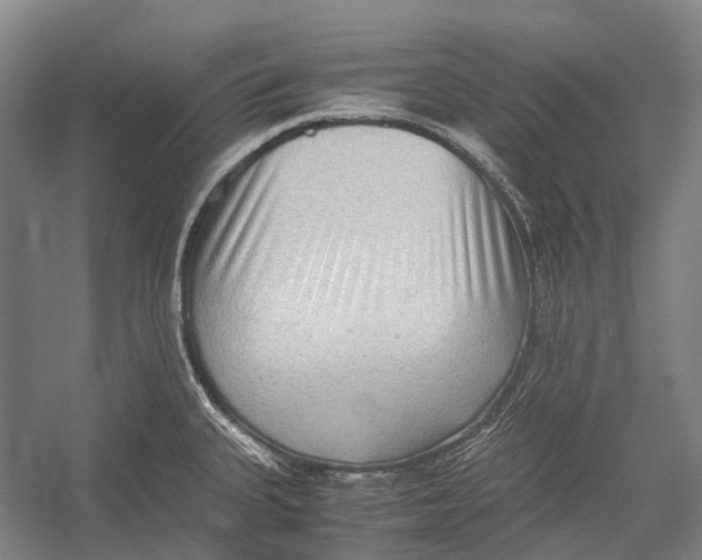 X0000052921335200508050753