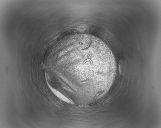 X0000052921347200508050752