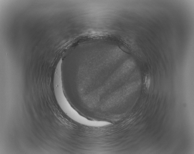 X0000052921348200508050752