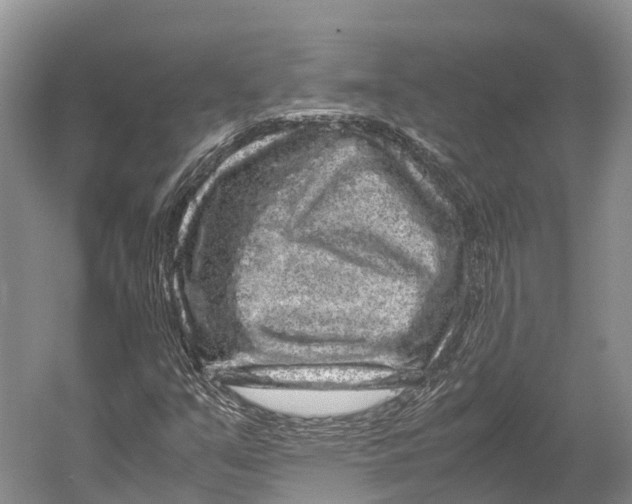 X0000052921351200508050752