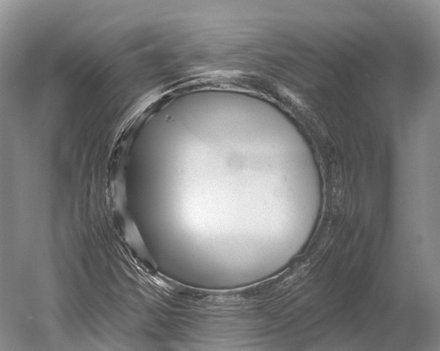 X0000052921354200508050752