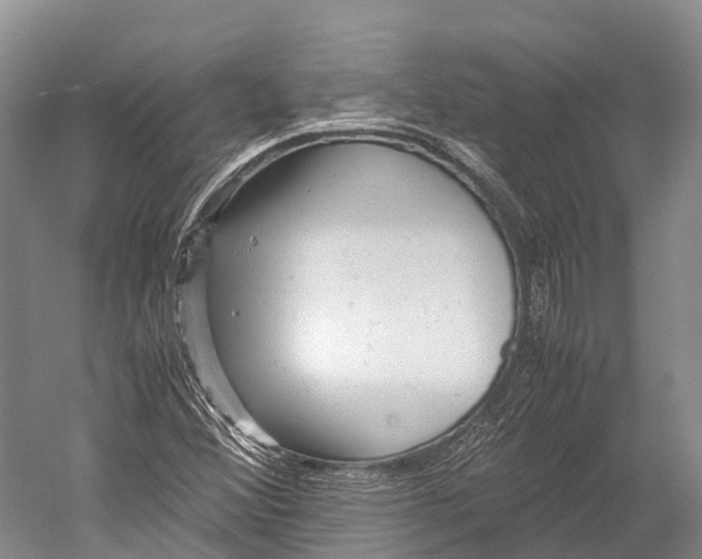 X0000052921356200508050752