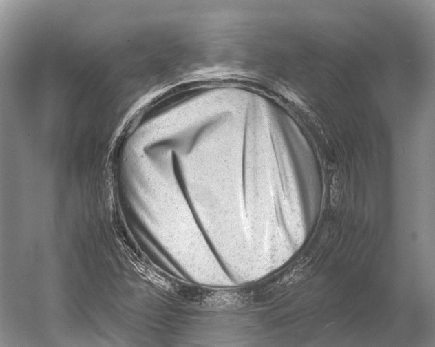 X0000052921358200508050752