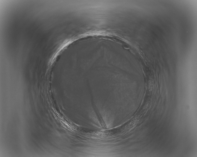 X0000052921359200508050752