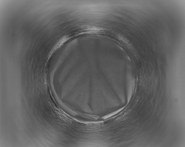 X0000052921362200508050752