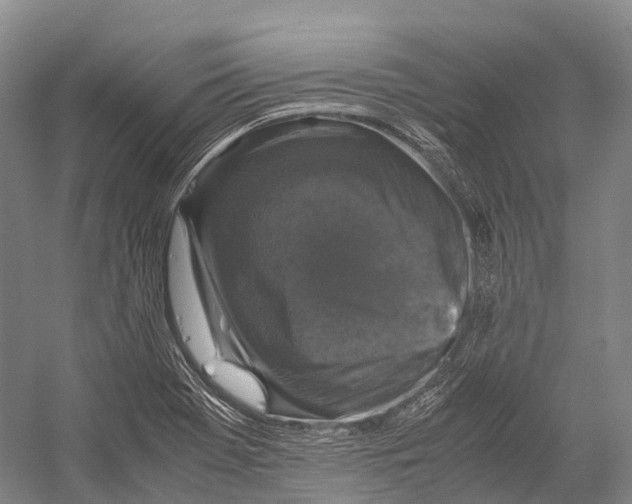 X0000052921369200508050752