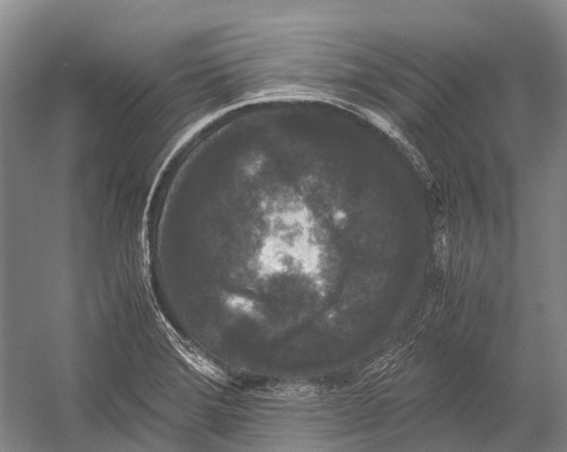 X0000052921372200508050752