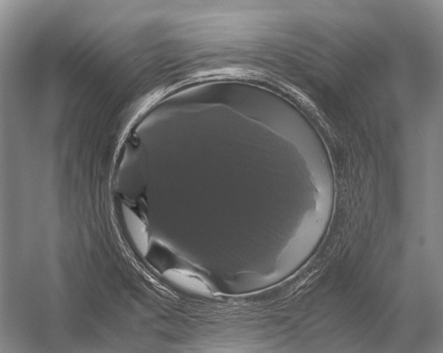 X0000052921373200508050752