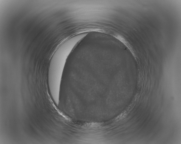 X0000052921377200508050752